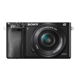 Sony Launches Ai Training Plans 