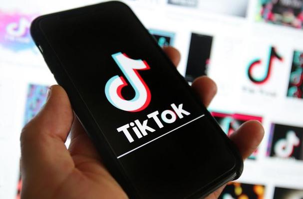 Tiktok Food Bloggers Challenge Technology Diet, Nutrition Solutions 