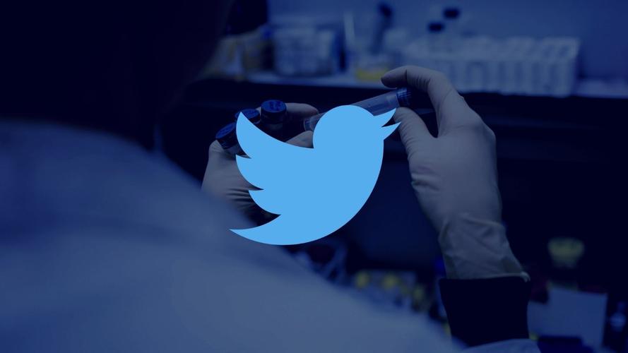 Twitter Will Launch Uruguay Service Similar To Housesittersuruguay